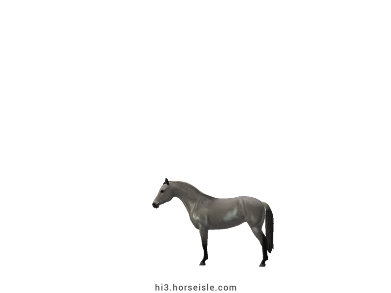 American Miniature Horse Silvery Slate Grulla Coat (left view)
